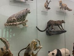 -国家自然博物馆