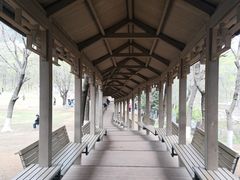 -高尔山公园