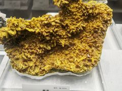 -湖南省地质博物馆