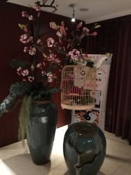 -东英经典SKIN&SPA