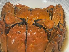 -老吉士酒家(天平路店)