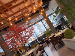 -拈菜(观音桥阳光世纪店)