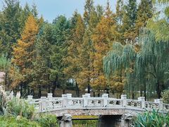 -武汉园博园(武汉自然博物馆)