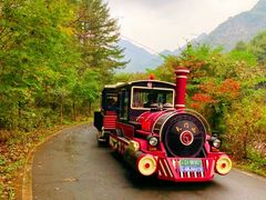 -大连天门山国家森林公园