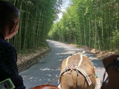 -杭州双溪漂流景区