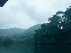 -鼎湖山风景区