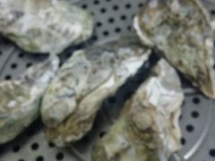 -蚝专家(北滘店)