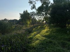 -阳澄湖半岛旅游度假区