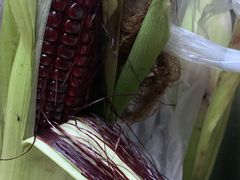 -前小桔亲子创意农场·草莓采摘·露营烧烤