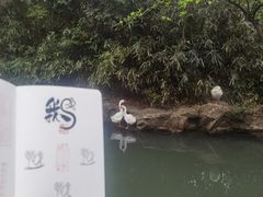 -兰亭风景区