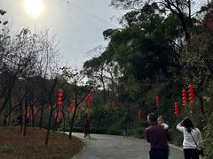 -广州市帽峰山景区