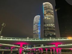 -演武大桥观景平台