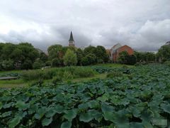 -美兰湖景区