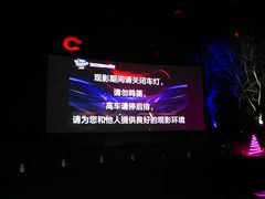 -枫花园汽车电影院(朝阳公园店)