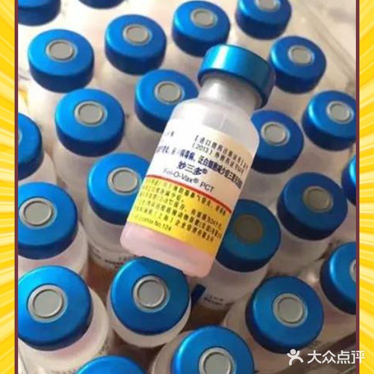我还是个小猫咪我为什么要打疫苗？【盛京万博宠物医院】