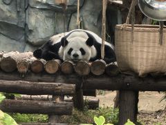 -泉州海丝野生动物世界