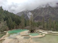 -黄龙山原始森林景区