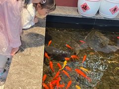 -日丰园海肠水饺·老字号大连海鲜(银泰城店)