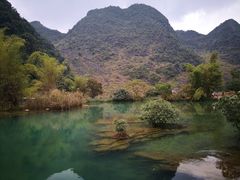 -靖西鹅泉风景区