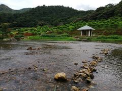 -广州市石门国家森林公园