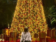 -广州富力丽思卡尔顿酒店