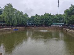 -尚庄度假村·庭台树下·户外烧烤·团建CS·轰趴营地(上庄水库店)