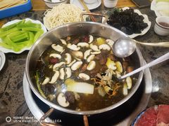 -乳仔牛牦牛汤锅 烤羊排(松潘古城店)
