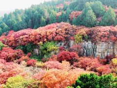 -龙洞风景区-藏龙涧