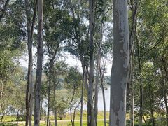 -福建鲤鱼洲酒店