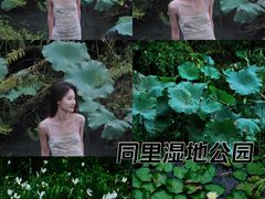 -同里国家湿地公园