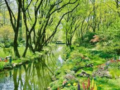 -上海共青森林公园