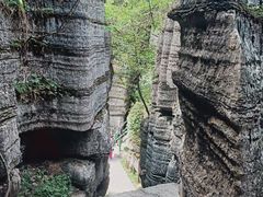 -梭布垭石林景区