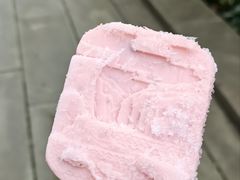 -白帝城·瞿塘峡景区