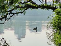 -西湖公园(鼓楼区)