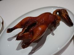 -东富酒家(龙湖西溪天街店)