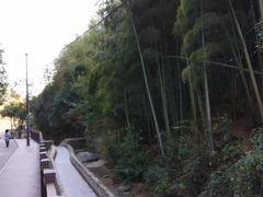 -众神白水涧景区