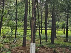 -云龙湖旅游景区