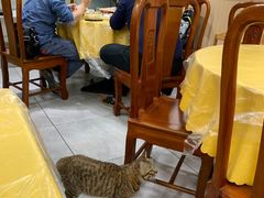 -官塘陈记鱼生·潮汕砂锅粥·牛肉火锅(潮枫路总店)