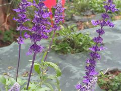 -广东中医药博物馆