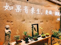 -晋江五店市传统文化旅游区