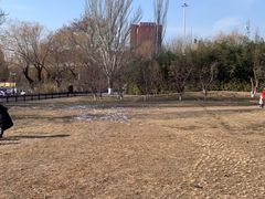 -丰台花园