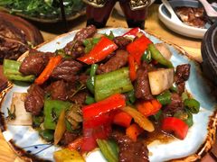 五指山小黄牛肉粒-张猫猫爱吃鱼