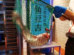 -鱼豆吉·豆浆鱼火锅(宜昌万达店)