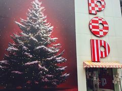 -溪岸路花鸟市场