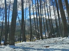 -硗碛藏寨·神木垒景区