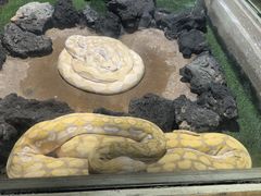 -杭州野生动物世界