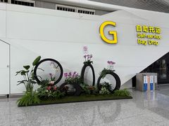 -广州白云国际机场-T2航站楼