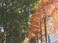 -南京农业大学(浦口校区)