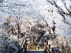 -梵净山旅游区