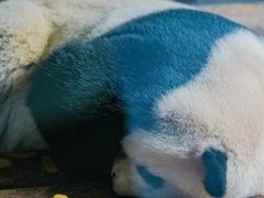 -济南野生动物世界